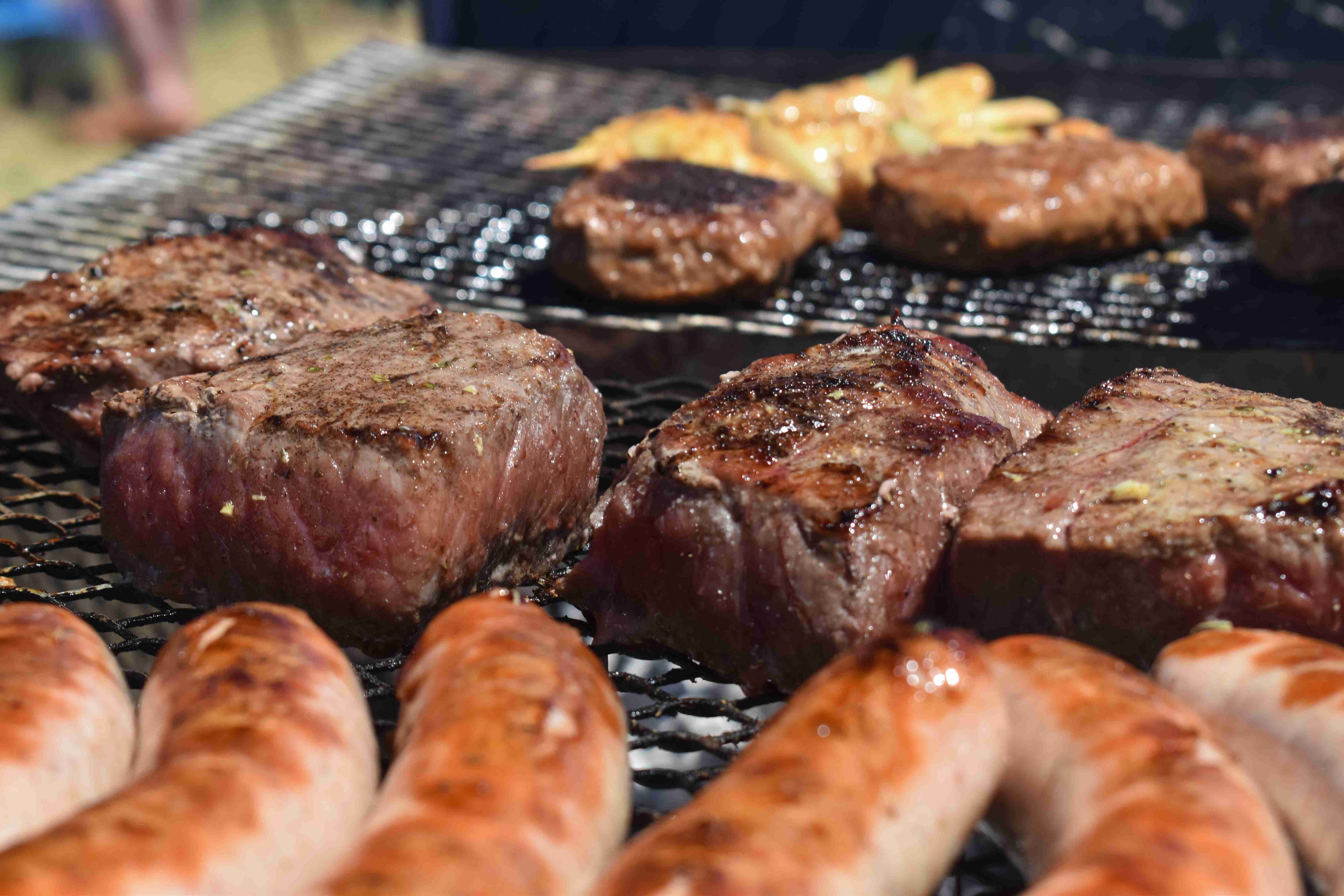 BBQ hondenschool Burcht carousel image